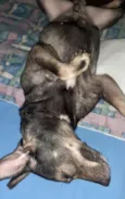 Não sei