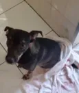 Não sei