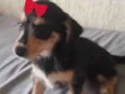 Julieta 