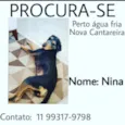 Nina