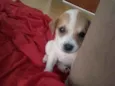 Jorge