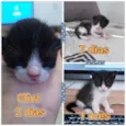 Clint