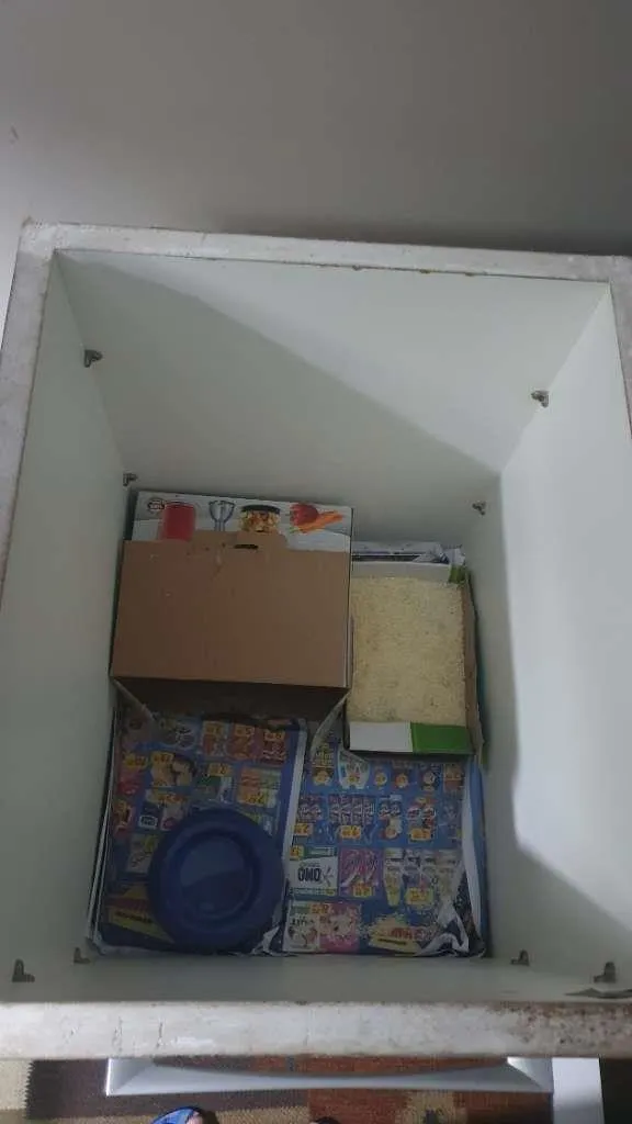 Gato ra a SRD-ViraLata idade 1 ano nome Otelo