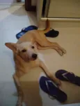 Benny