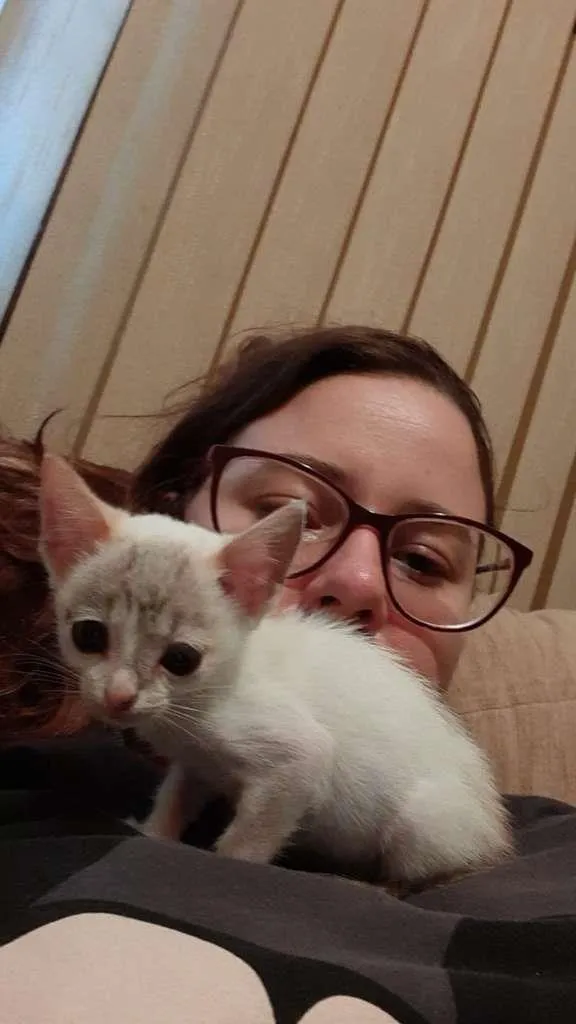 Gato ra a  idade Abaixo de 2 meses nome Bebê