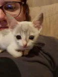 Bebê