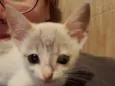 Bebê