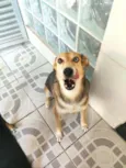 Thor e Kiara