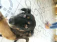 Thor e Kiara