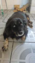 Thor e Kiara