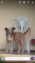 Docinho