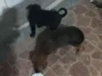 Zeus