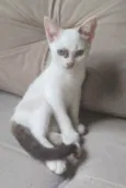 Baby