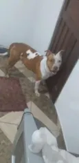 Nala