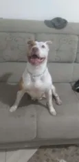 Nala