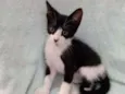 Mimi
