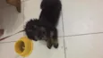 Zeca
