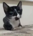Kiko