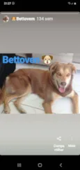 Bettoven