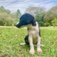 Bebês Muito Fofos
