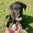 Bebês Muito Fofos