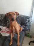 Caramela