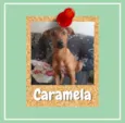 Caramela