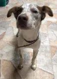 Penny