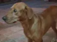 Não sei