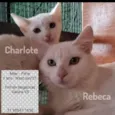 Rebeca e Charlote