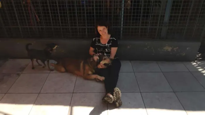 Cachorro ra a  idade 2 anos nome Rufus