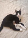 Melvim