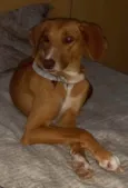 Lola