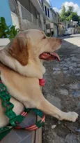 Penélope 