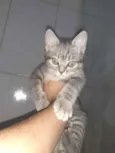 indefinido 