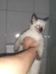indefinido 
