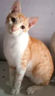 Fred