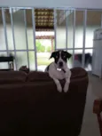 Suzi