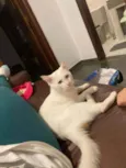 Tom
