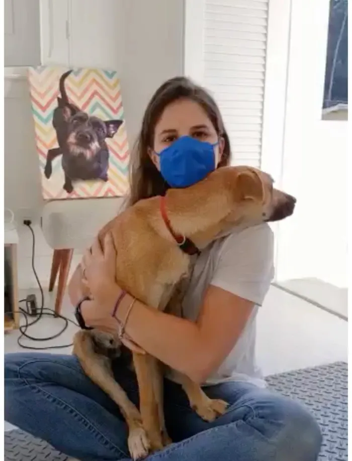 Cachorro ra a SRD-ViraLata idade 3 anos nome Natalina