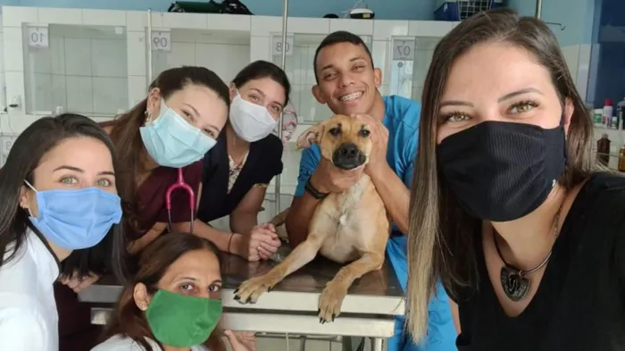 Cachorro ra a SRD-ViraLata idade 3 anos nome Natalina