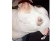Mel