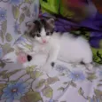 Tina