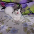 Tina