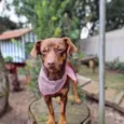 ZURI