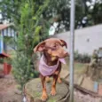 ZURI