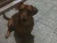 Ted