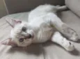 João