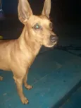 Théo