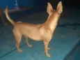 Théo
